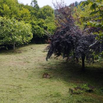 Продается Участок, 840 м²