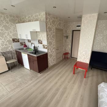 Продается 1-комнатная квартира, 23,9 м²