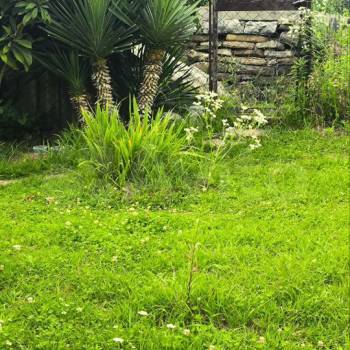 Продается Участок, 500 м²