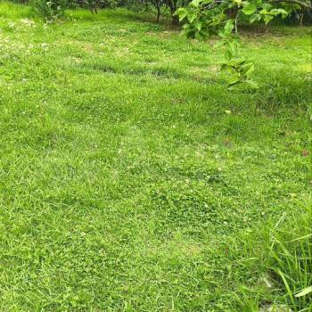 Продается Участок, 500 м²