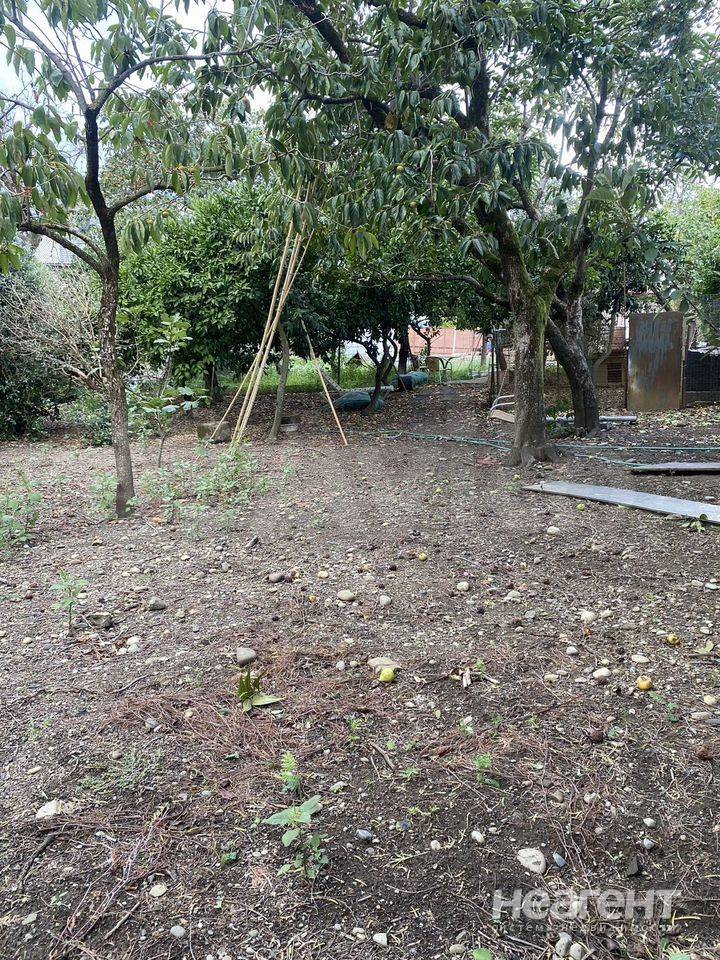 Фотография №2