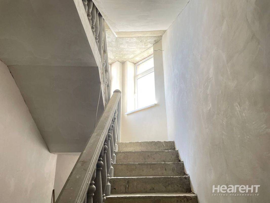 Фотография №4