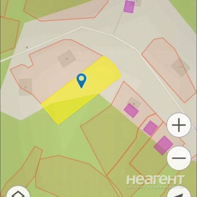 Фотография №2