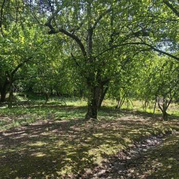 Продается Участок, 1200 м²