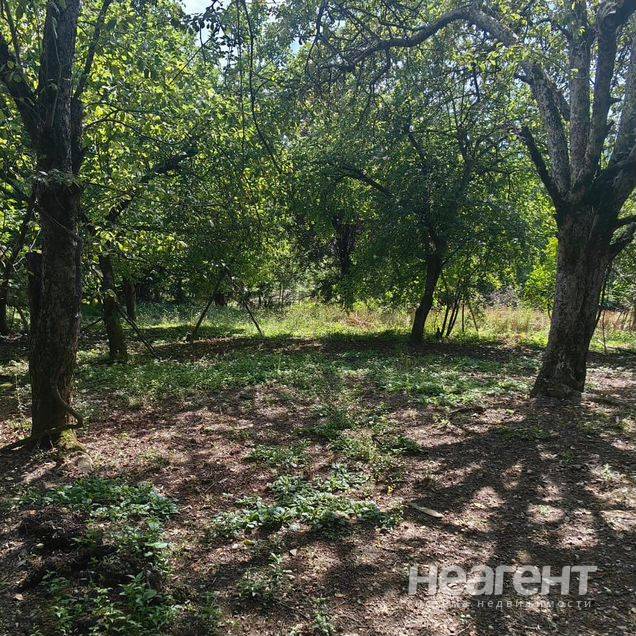 Фотография №4