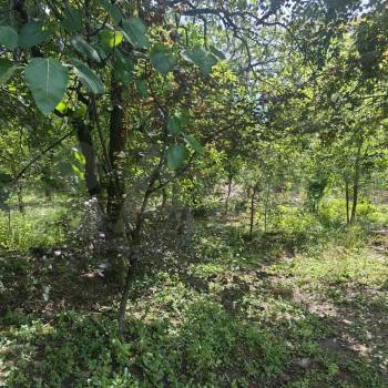 Продается Участок, 1200 м²