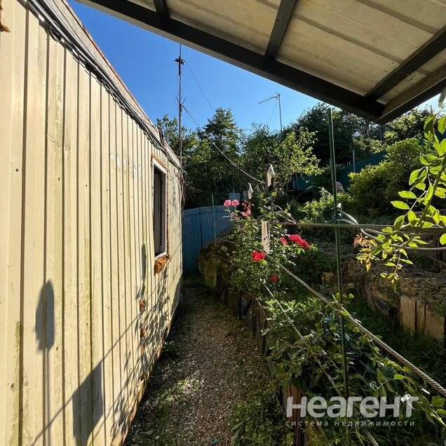 Фотография №2