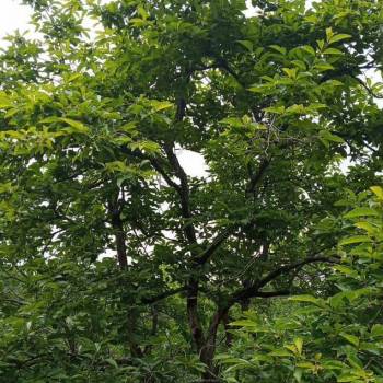 Продается Участок, 680 м²