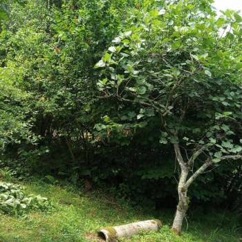 Продается Участок, 680 м²