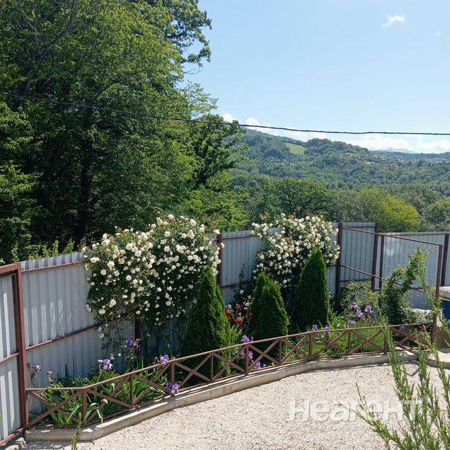 Продаю дом, Каштаны, хозяин