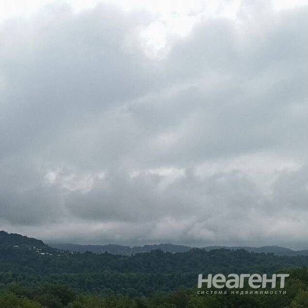 Фотография №2