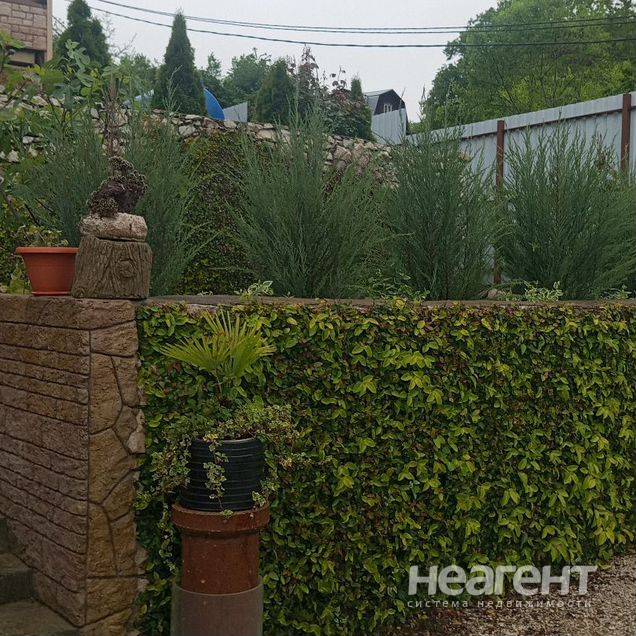 Фотография №3