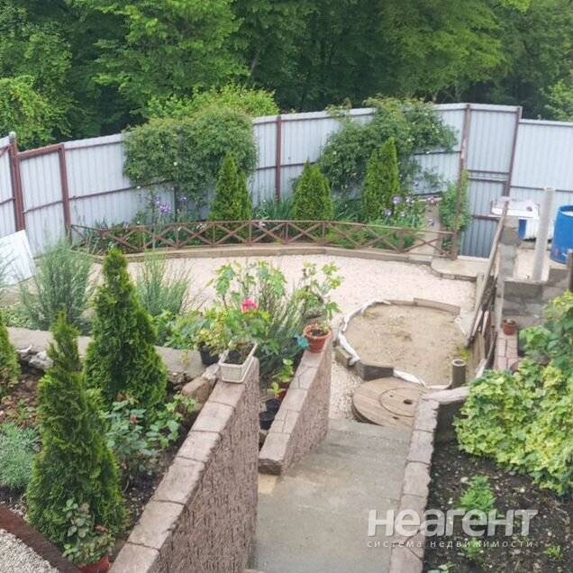 Фотография №4