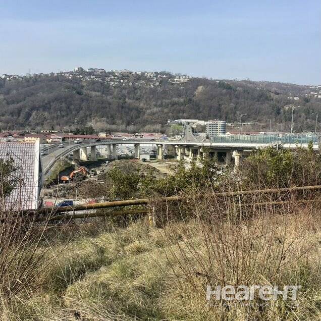 Фотография №2