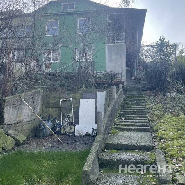 Фотография №3