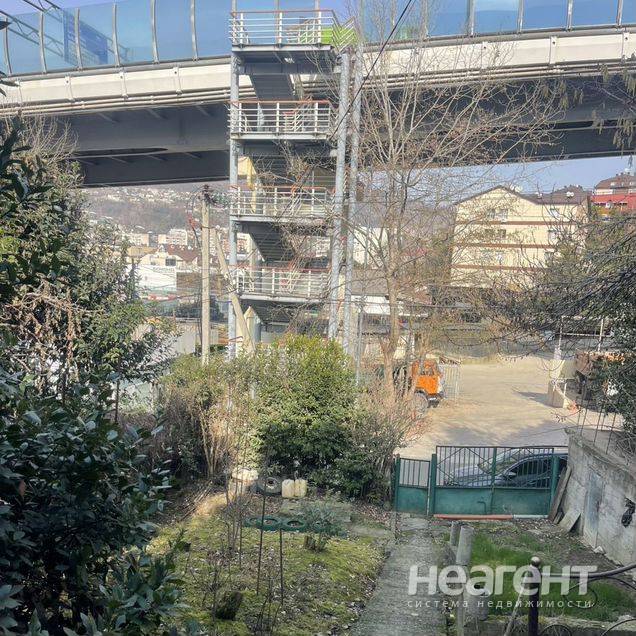 Фотография №4