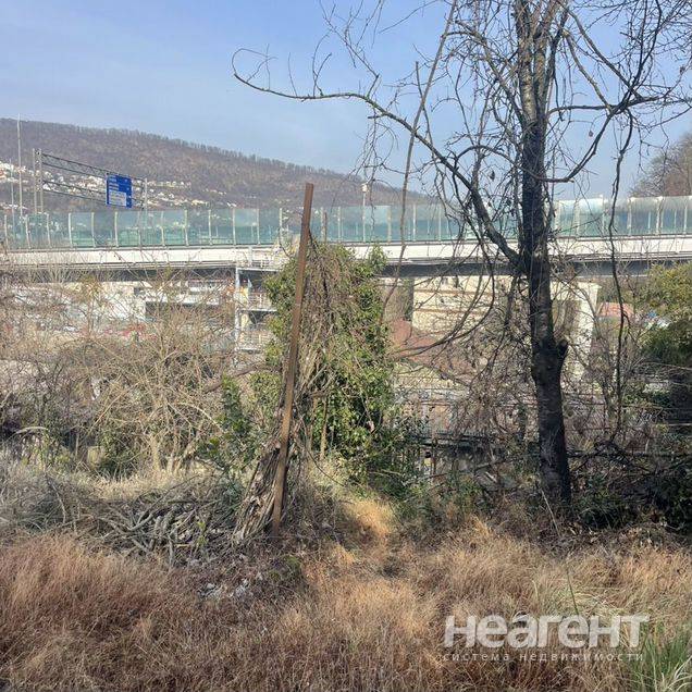 Фотография №5