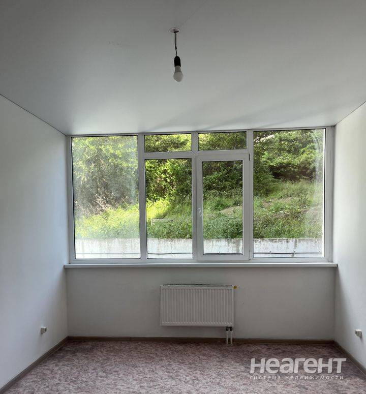 Фотография №5