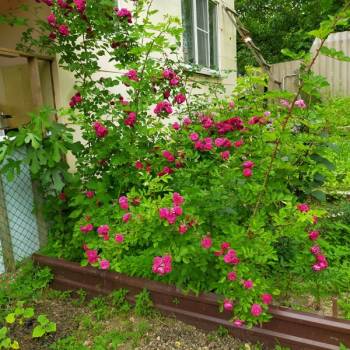 Продается Дом, 135 м²