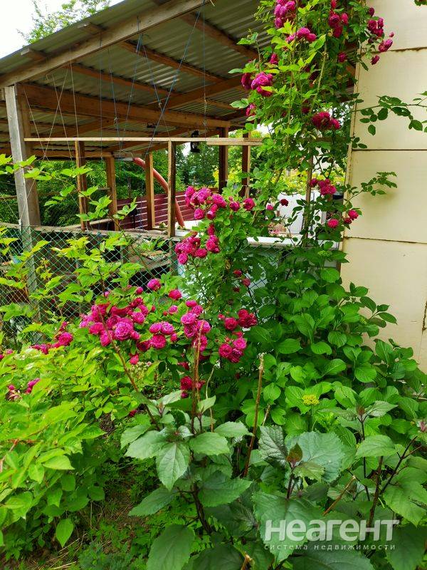 Фотография №2