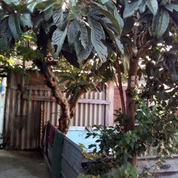 Продается Участок, 0 м²