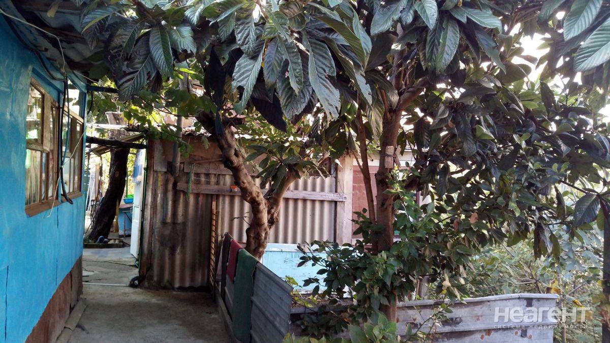 Фотография №2