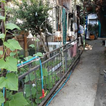 Продается Участок, 0 м²