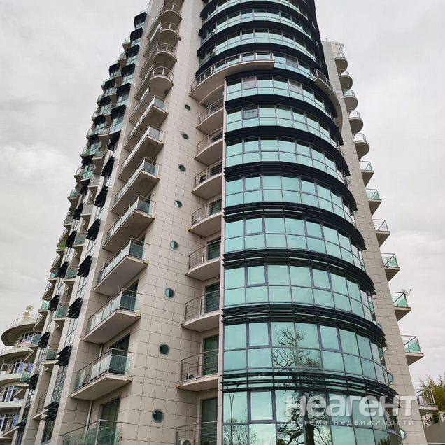 Фотография №2