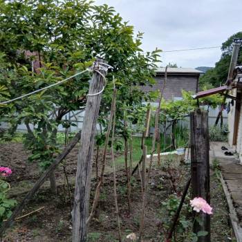 Продается Участок, 1000 м²