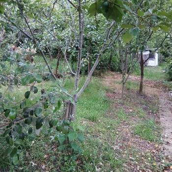 Продается Участок, 1000 м²