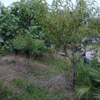 Продается Участок, 1000 м²