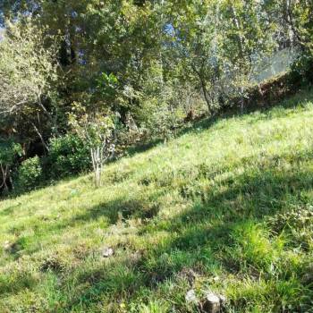 Продается Участок, 690 м²