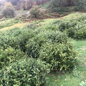 Продается Участок, 0 м²