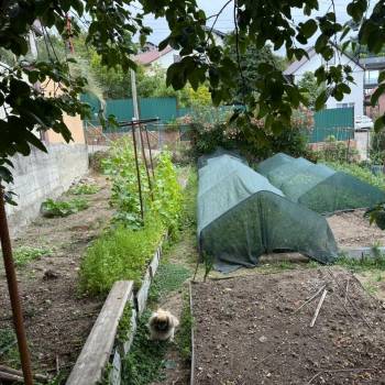 Продается Участок, 400 м²