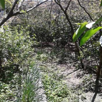 Продается Участок, 600 м²