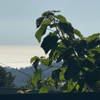 Продается Дом, 36 м²