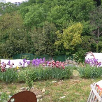 Продается Участок, 600 м²