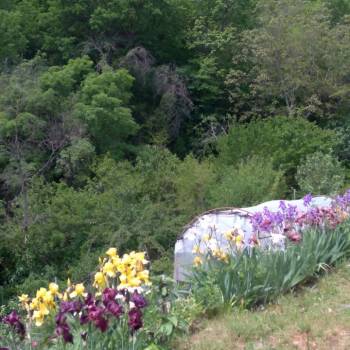 Продается Участок, 600 м²