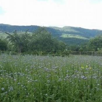 Продается Участок, 630 м²