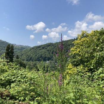 Продается Участок, 1200 м²