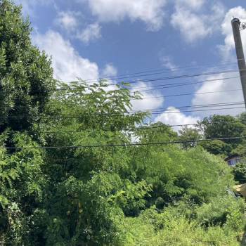 Продается Участок, 1200 м²