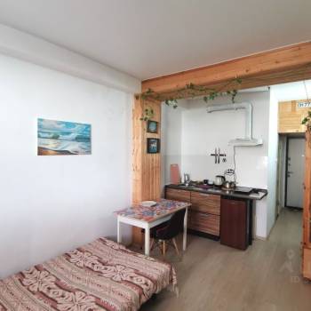 Продается 1-комнатная квартира, 20,4 м²