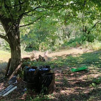 Продается Участок, 530 м²