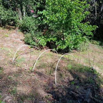 Продается Участок, 530 м²