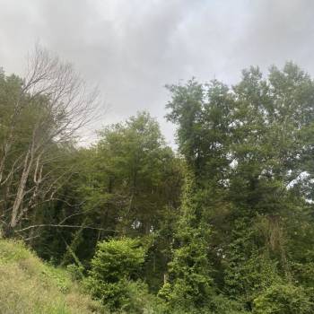 Продается Участок, 0 м²