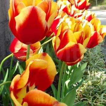 Продается 1-комнатная квартира, 27 м²