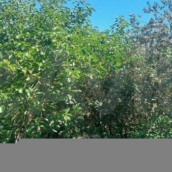 Продается Дом, 180 м²