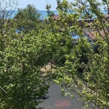 Сдается 2-х комнатная квартира, 57 м²