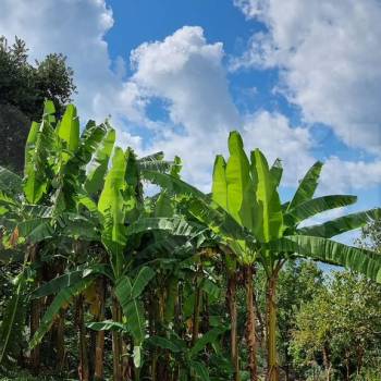 Продается Участок, 1400 м²