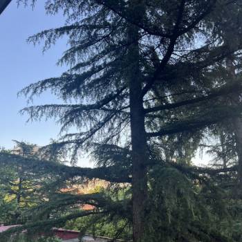 Продается 3-х комнатная квартира, 78 м²